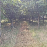 landbouwgrond te Buggenhout, Opstal
