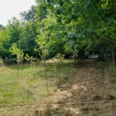 landbouwgrond te Buggenhout, Opstal