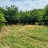 landbouwgrond te Buggenhout, Opstal