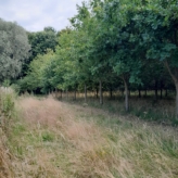 landbouwgrond te Buggenhout, Opstal