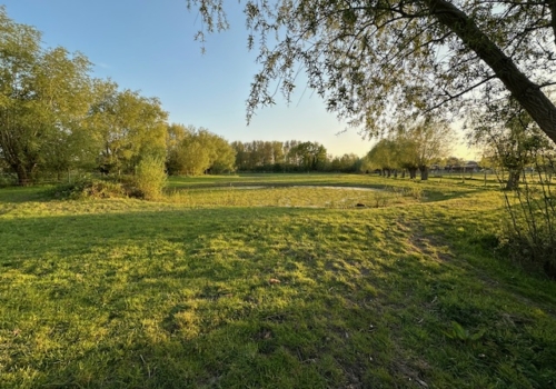 Weidegrond Brugge
