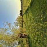 Weidegrond Brugge