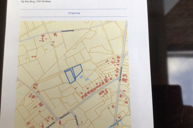 Bosgrond in Ham ( afdeling Oostham )