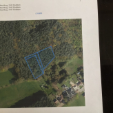 Bosgrond in Ham ( afdeling Oostham )