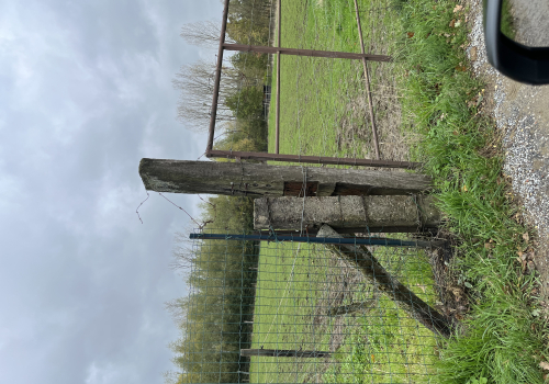 Weiland te koop. Weiland te koop.