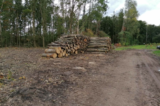 Bos te koop van 1ha70 in agrarisch gebied te Begijnendijk Bos te koop van 1ha70 in agrarisch gebied te Begijnendijk