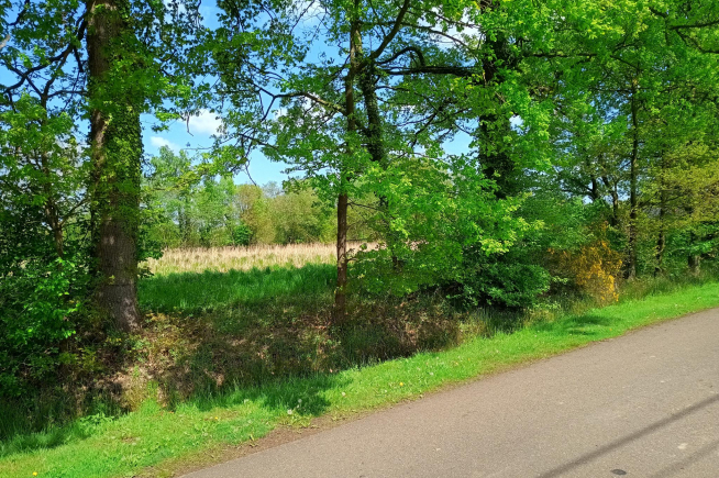 Landbouwgrond te Lummen