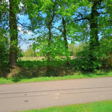 Landbouwgrond te Lummen