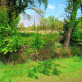 Landbouwgrond te Lummen
