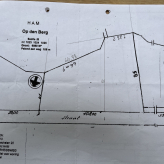 Bosgrond in Ham ( afdeling Oostham )