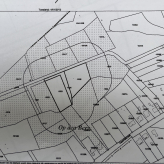 Bosgrond in Ham ( afdeling Oostham )