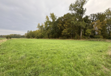 Hooiland en bos te koop Hooiland en bos te koop
