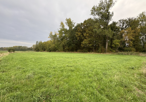 Hooiland en bos te koop