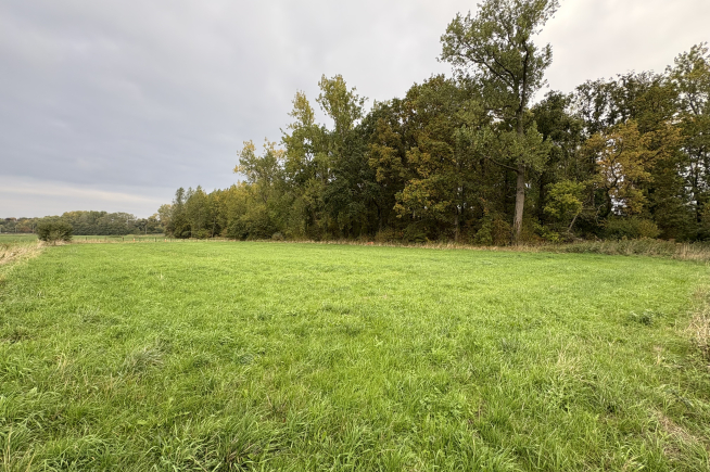 Hooiland en bos te koop
