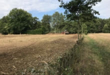 Landbouwgrond te koop Oostham