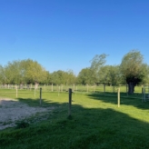 Weidegrond Brugge