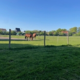 Weidegrond Brugge