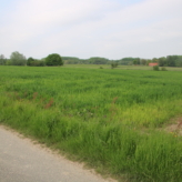 Landbouwgrond Zwevegem (Moen) te koop