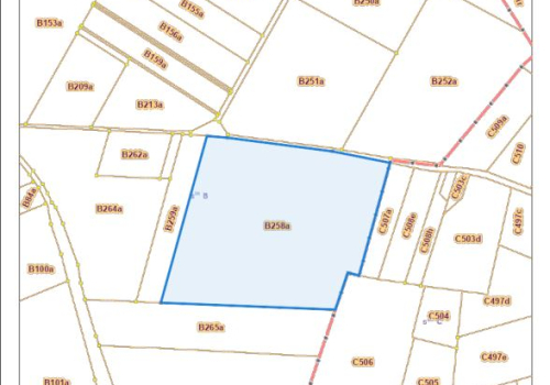 PERCEEL LANDBOUWGROND TE KOOP VIA MEDEDINGINGSPROCEDURE