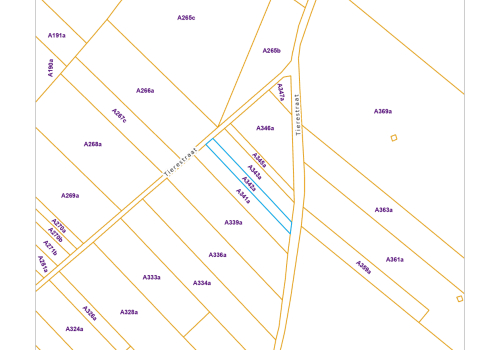 Landbouwgrond te koop in Diets-Heur Landbouwgrond te koop in Diets-Heur