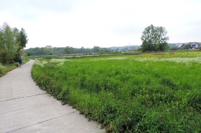 HERZELE – Kouterveld (hoek Bergafstraat – Rosalie Daemstraat) HERZELE – Kouterveld (hoek Bergafstraat – Rosalie Daemstraat)