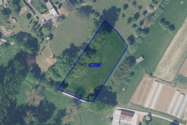 Te koop: landbouwgrond 4.239m² – Neigem (Ninove)