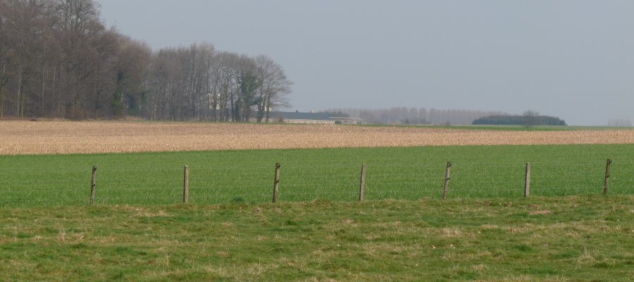 Landbouw zorgt voor productief landschap