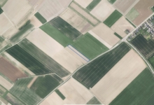 PERCEEL LANDBOUWGROND TE KOOP VIA MEDEDINGINGSPROCEDURE