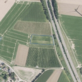 PERCEEL LANDBOUWGROND TE KOOP VIA MEDEDINGINGSPROCEDURE