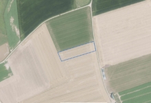 PERCEEL LANDBOUWGROND TE KOOP VIA MEDEDINGINGSPROCEDURE