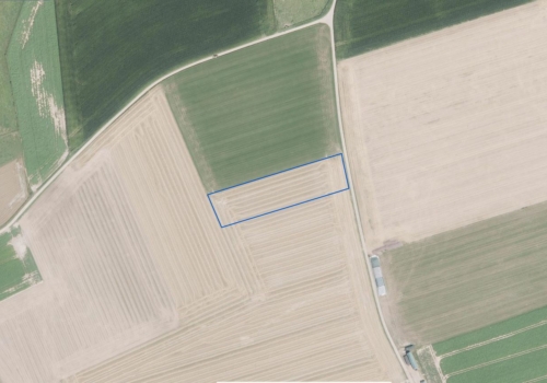 PERCEEL LANDBOUWGROND TE KOOP VIA MEDEDINGINGSPROCEDURE