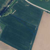 PERCEEL LANDBOUWGROND TE KOOP VIA MEDEDINGINGSPROCEDURE