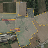 11,4 HA Landbouwgebied Houtstraat Wellen