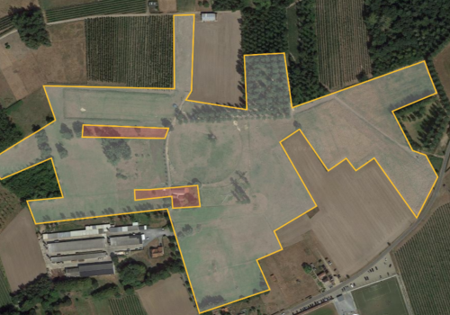 11,4 HA akkerland en weiland Houtstraat Wellen