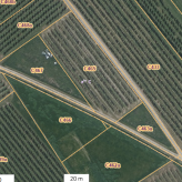 Mooi perceel weiland in Sint Truiden / Zepperen