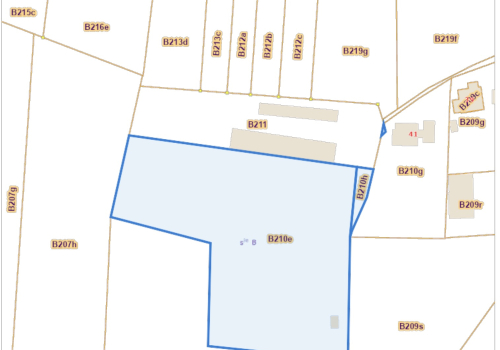 Weide / boomgaard te koop