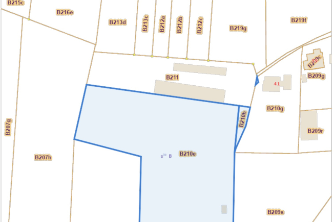 Weide / boomgaard te koop