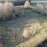 Weide / boomgaard te koop