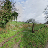 Te koop: landbouwgrond 4.239m² – Neigem (Ninove)