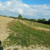 Bouwland in Ranakkers Opwijk