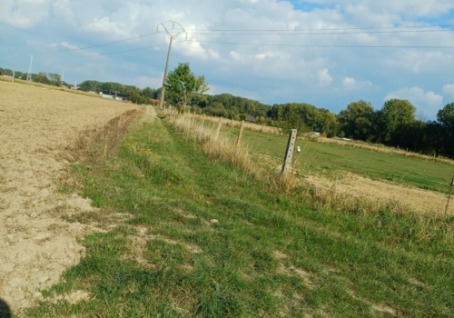 Bouwland in Ranakkers Opwijk
