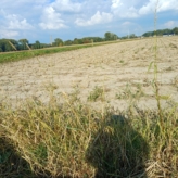 Bouwland in Ranakkers Opwijk
