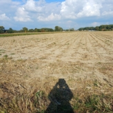 Bouwland in Ranakkers Opwijk