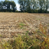 Bouwland in Ranakkers Opwijk