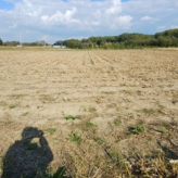 Bouwland in Ranakkers Opwijk