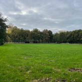 Te koop: uniek weiland in agrarisch gebied te Kessel