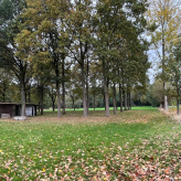 Te koop: uniek weiland in agrarisch gebied te Kessel