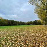 Te koop: uniek weiland in agrarisch gebied te Kessel