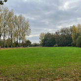 Te koop: uniek weiland in agrarisch gebied te Kessel