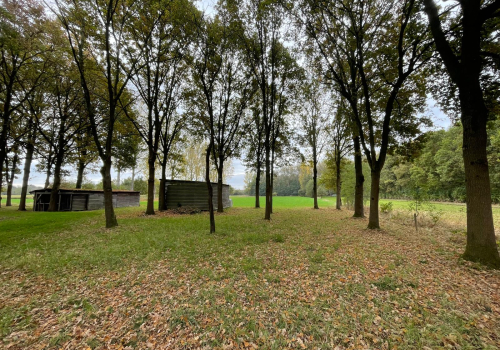 Te koop: uniek weiland in agrarisch gebied te Kessel